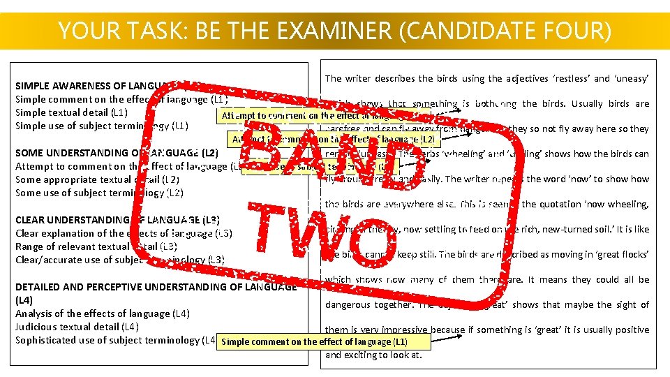 YOUR TASK: BE THE EXAMINER (CANDIDATE FOUR) The writer describes the birds using the