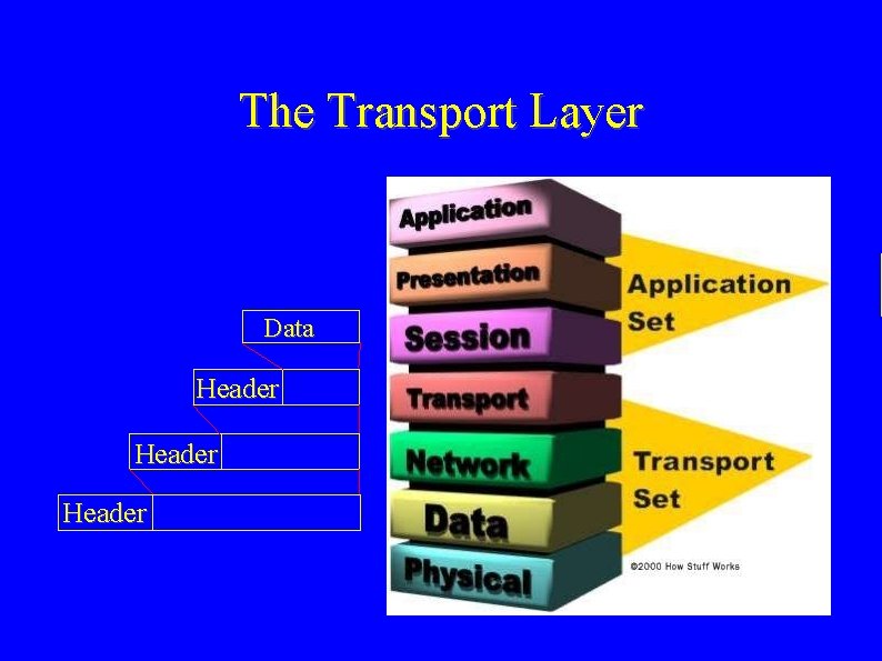 The Transport Layer Data Header 