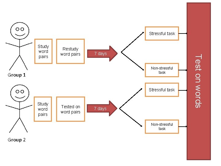 Stressful task Restudy word pairs 7 days Non-stressful task Group 1 Stressful task Study