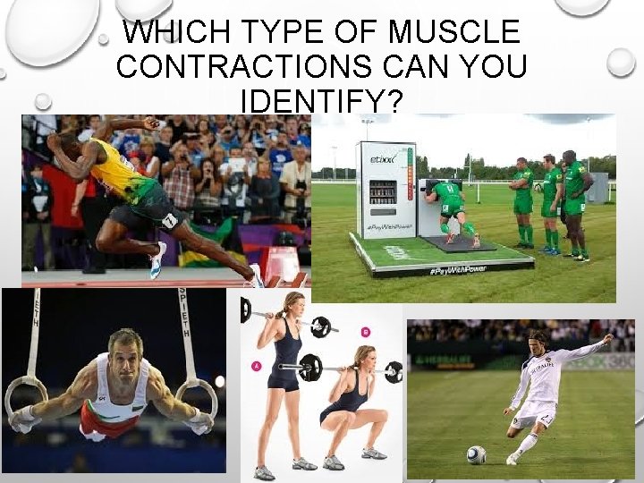WHICH TYPE OF MUSCLE CONTRACTIONS CAN YOU IDENTIFY? WHICH TYPE OF MUSCLE CONTRACTIONS CAN YOU IDENTIFY?