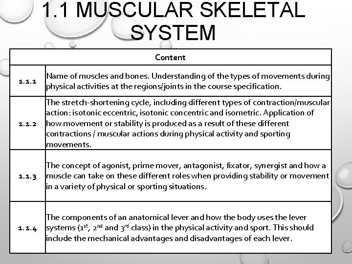 1. 1 MUSCULAR SKELETAL SYSTEM Content 1. 1. 1 Name of muscles and bones. 1. 1 MUSCULAR SKELETAL SYSTEM Content 1. 1. 1 Name of muscles and bones.
