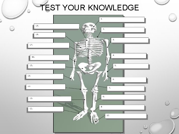 TEST YOUR KNOWLEDGE TEST YOUR KNOWLEDGE