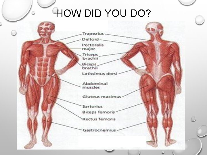 HOW DID YOU DO? HOW DID YOU DO?