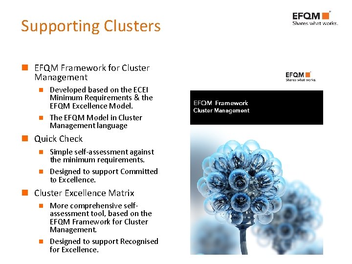 Supporting Clusters n EFQM Framework for Cluster Management n n Developed based on the