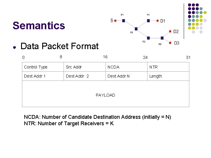 Semantics ● Data Packet Format 0 8 16 24 31 Control Type Src Addr