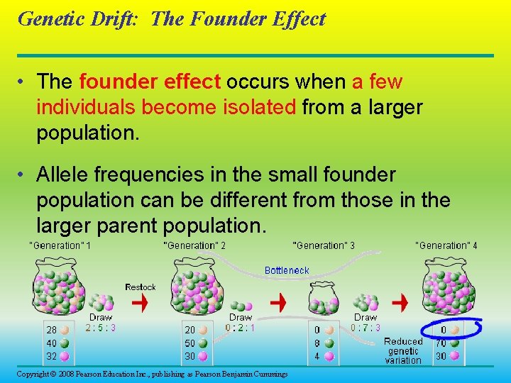 Chapter 23 The Evolution of Populations Copyright 2008