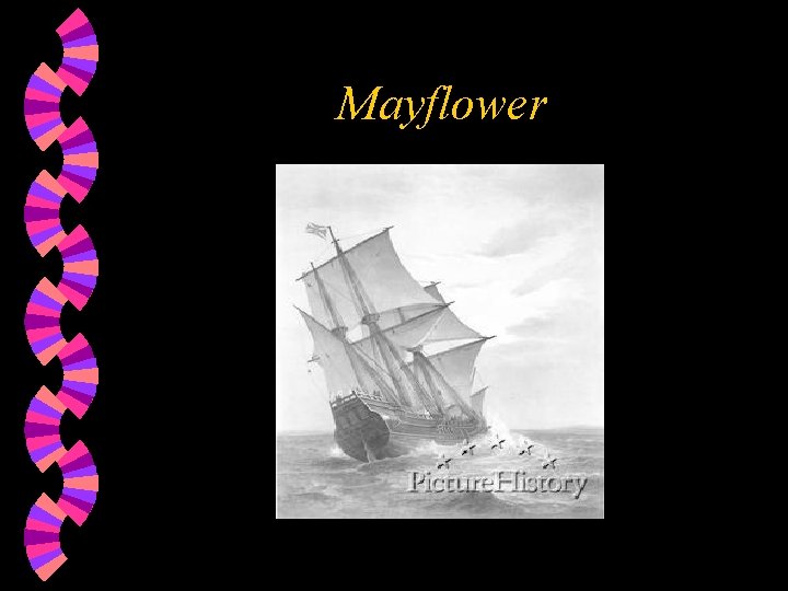 Mayflower 