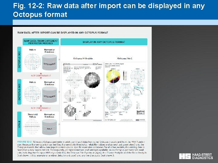 Fig. 12 -2: Raw data after import can be displayed in any Octopus format
