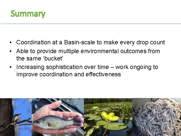 Summary • Coordination at a Basin-scale to make every drop count • Able to