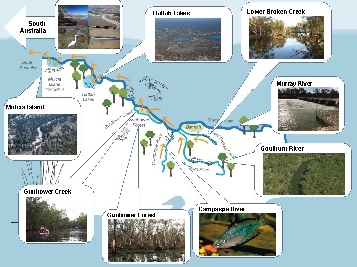 Lower Broken Creek Hattah Lakes South Australia Murray River Mulcra Island Goulburn River Gunbower
