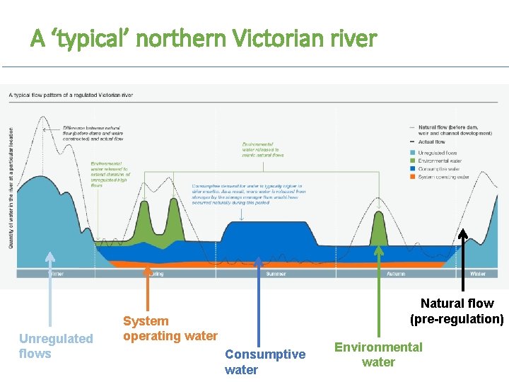 A ‘typical’ northern Victorian river Unregulated flows Natural flow (pre-regulation) System operating water Consumptive