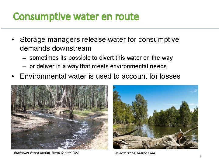 Consumptive water en route • Storage managers release water for consumptive demands downstream –