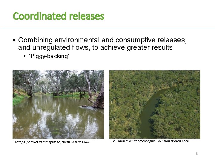 Coordinated releases • Combining environmental and consumptive releases, and unregulated flows, to achieve greater