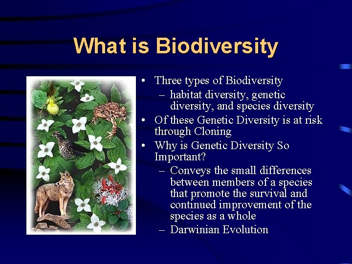 What is Biodiversity • Three types of Biodiversity – habitat diversity, genetic diversity, and