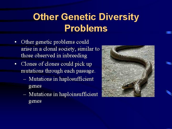 Other Genetic Diversity Problems • Other genetic problems could arise in a clonal society,