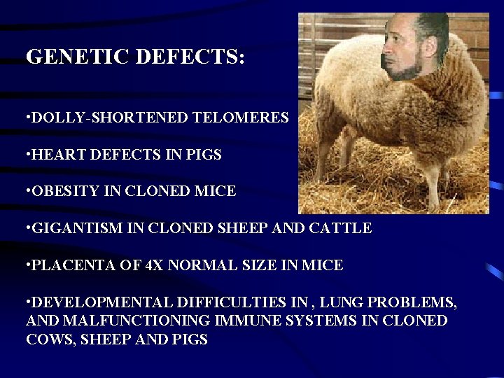 GENETIC DEFECTS: • DOLLY-SHORTENED TELOMERES • HEART DEFECTS IN PIGS • OBESITY IN CLONED