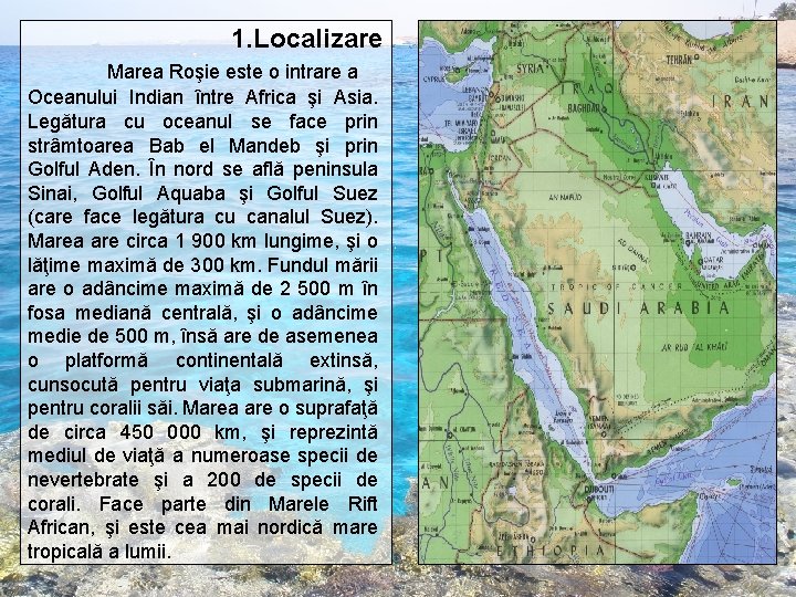 1. Localizare Marea Roşie este o intrare a Oceanului Indian între Africa şi Asia. 1. Localizare Marea Roşie este o intrare a Oceanului Indian între Africa şi Asia.