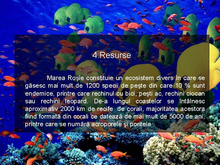 4. Resurse Marea Roşie constituie un ecosistem divers în care se găsesc mai mult 4. Resurse Marea Roşie constituie un ecosistem divers în care se găsesc mai mult