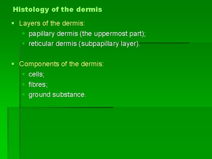 Histology of the dermis § Layers of the dermis: § papillary dermis (the uppermost