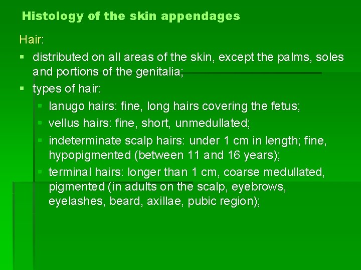 Histology of the skin appendages Hair: § distributed on all areas of the skin,