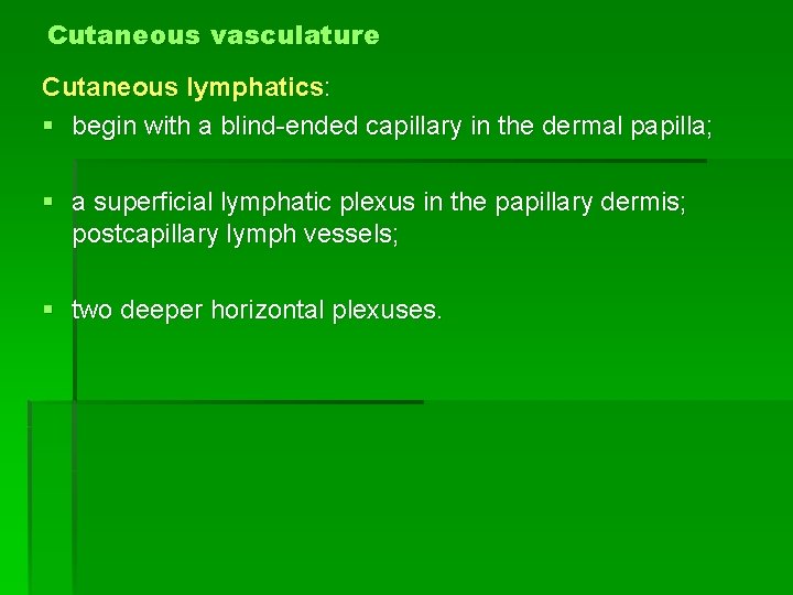 Cutaneous vasculature Cutaneous lymphatics: § begin with a blind-ended capillary in the dermal papilla;