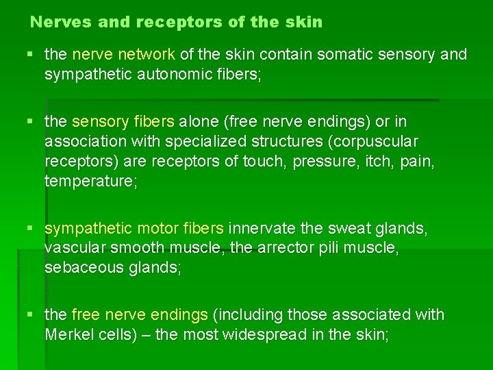 Nerves and receptors of the skin § the nerve network of the skin contain