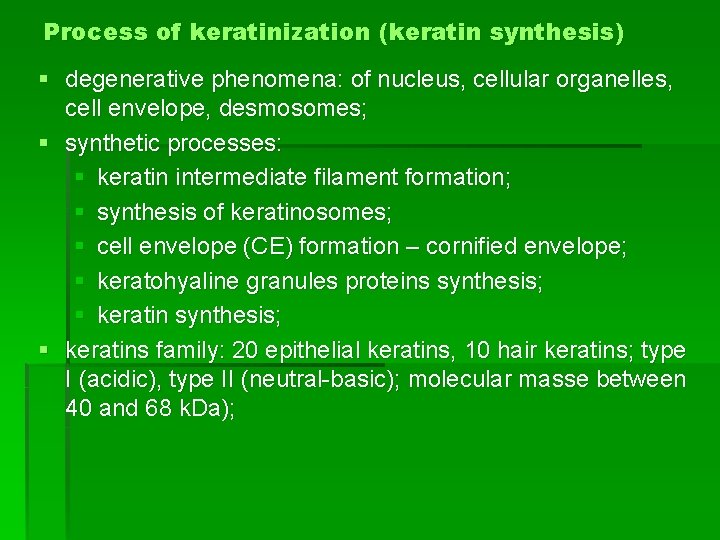 Process of keratinization (keratin synthesis) § degenerative phenomena: of nucleus, cellular organelles, cell envelope,