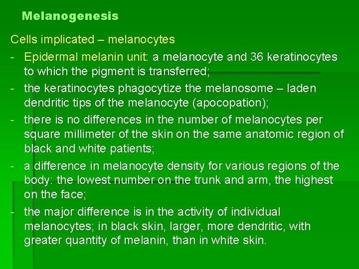 Melanogenesis Cells implicated – melanocytes - Epidermal melanin unit: a melanocyte and 36 keratinocytes