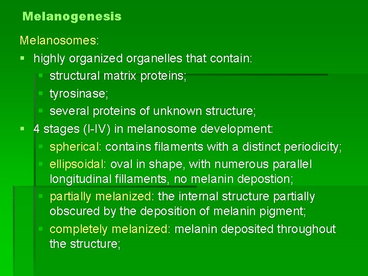 Melanogenesis Melanosomes: § highly organized organelles that contain: § structural matrix proteins; § tyrosinase;