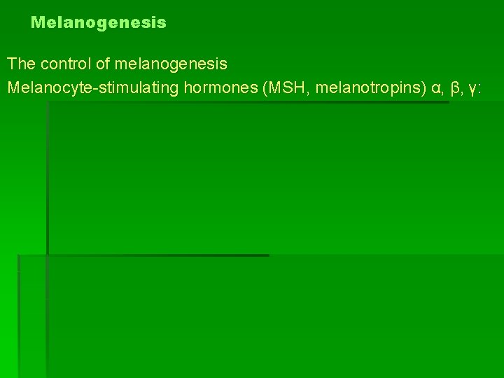 Melanogenesis The control of melanogenesis Melanocyte-stimulating hormones (MSH, melanotropins) α, β, γ: 