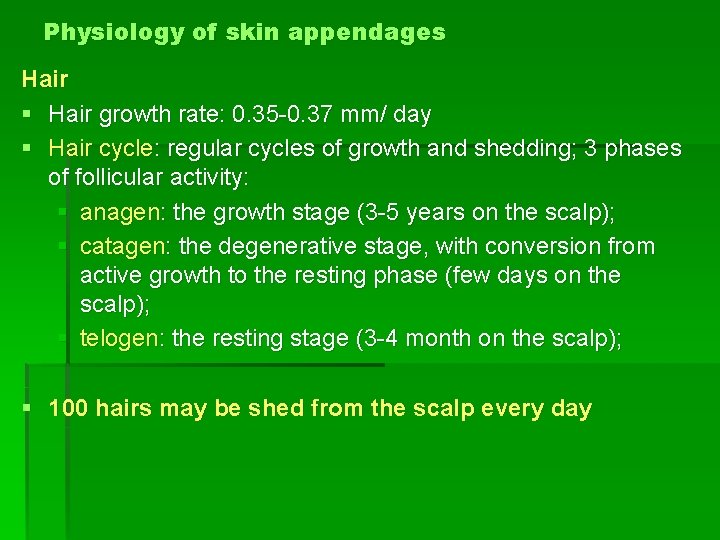 Physiology of skin appendages Hair § Hair growth rate: 0. 35 -0. 37 mm/