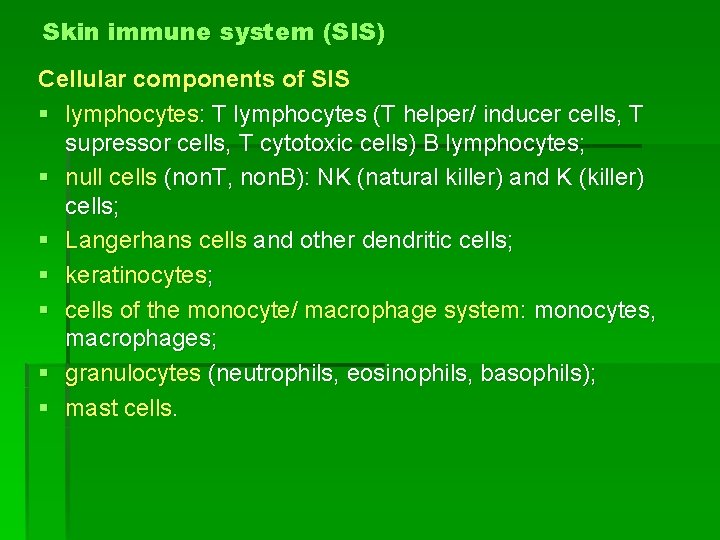 Skin immune system (SIS) Cellular components of SIS § lymphocytes: T lymphocytes (T helper/