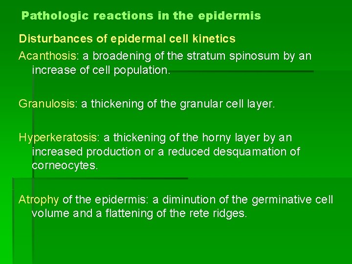 Pathologic reactions in the epidermis Disturbances of epidermal cell kinetics Acanthosis: a broadening of