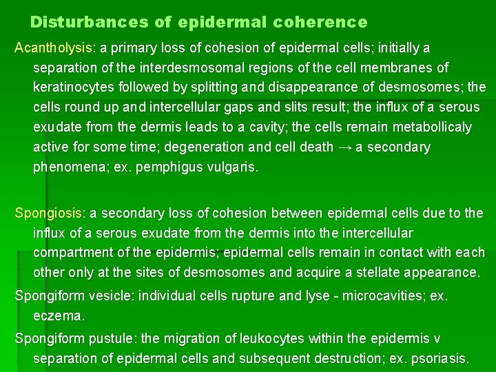 Disturbances of epidermal coherence Acantholysis: a primary loss of cohesion of epidermal cells; initially