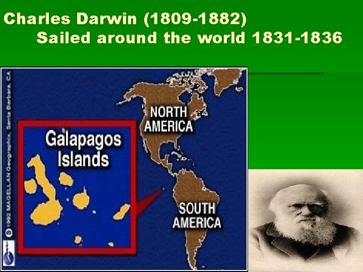 Charles Darwin (1809 -1882) Sailed around the world 1831 -1836 