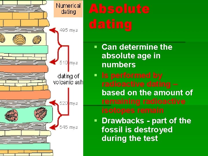 Absolute dating § Can determine the absolute age in numbers § Is performed by