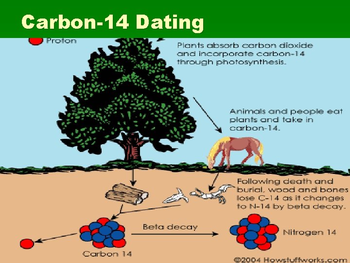 Carbon-14 Dating 