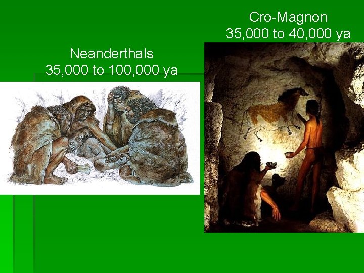 Cro-Magnon 35, 000 to 40, 000 ya Neanderthals 35, 000 to 100, 000 ya