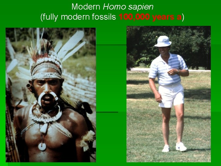 Modern Homo sapien (fully modern fossils 100, 000 years a) 