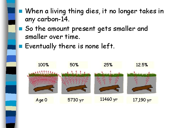 When a living thing dies, it no longer takes in any carbon-14. n So