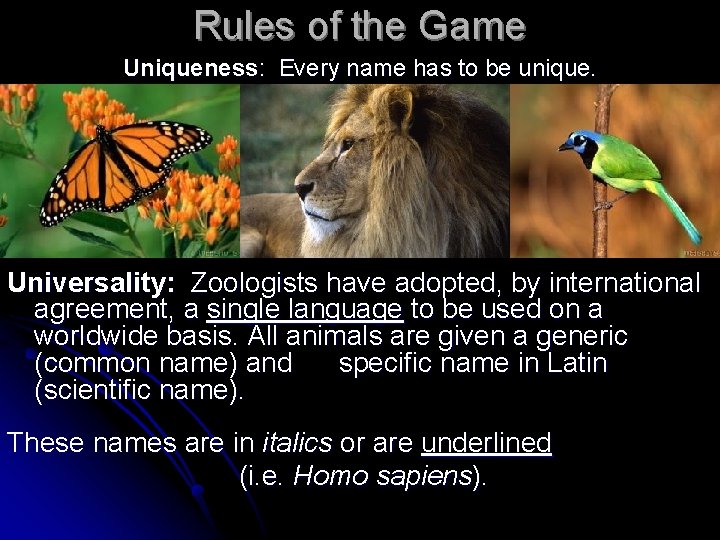 Rules of the Game Uniqueness: Every name has to be unique. Universality: Zoologists have