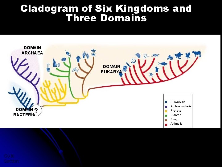 Cladogram of Six Kingdoms and Three Domains Section 18 -3 DOMAIN ARCHAEA DOMAIN EUKARYA