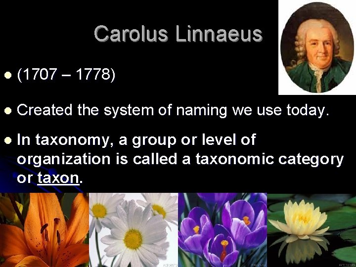Carolus Linnaeus l (1707 – 1778) l Created the system of naming we use