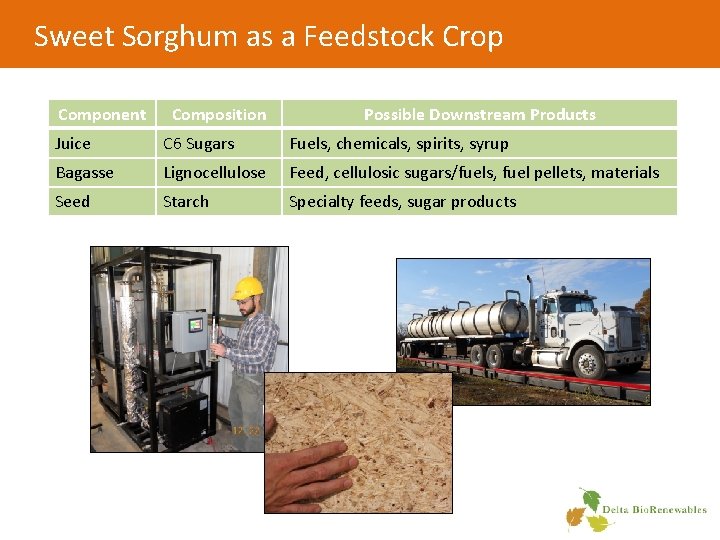 Sweet Sorghum as a Feedstock Crop Component Composition Possible Downstream Products Juice C 6