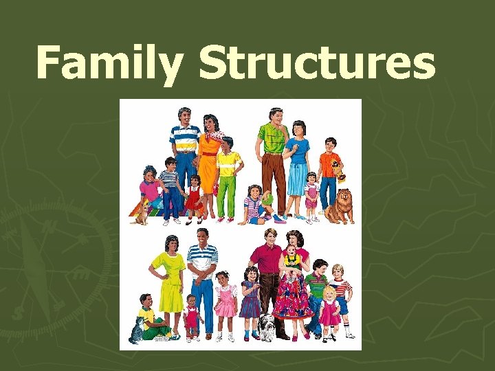 Family Structures 