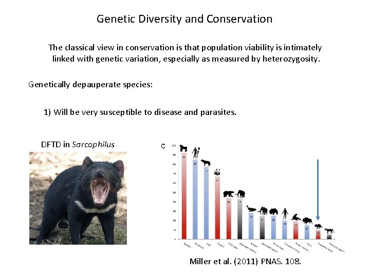 Genetic Diversity and Conservation The classical view in conservation is that population viability is