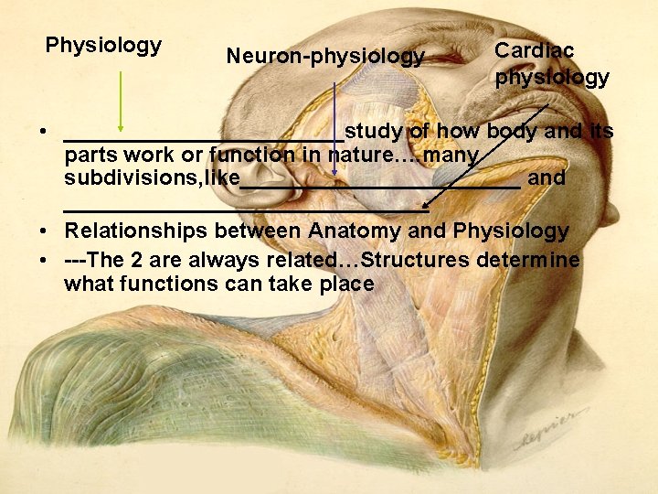 Physiology Neuron physiology Cardiac physiology • ____________study of how body and its parts work Physiology Neuron physiology Cardiac physiology • ____________study of how body and its parts work