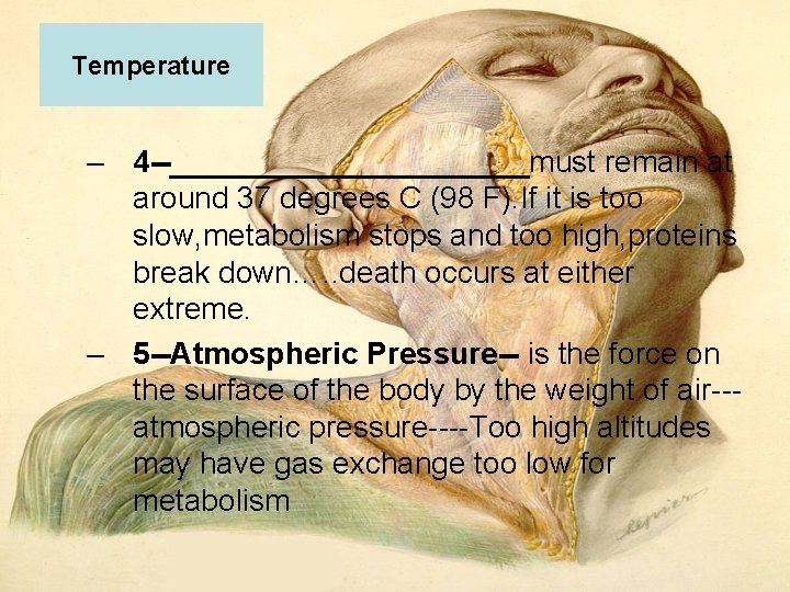 Temperature – 4 ___________must remain at around 37 degrees C (98 F). If it