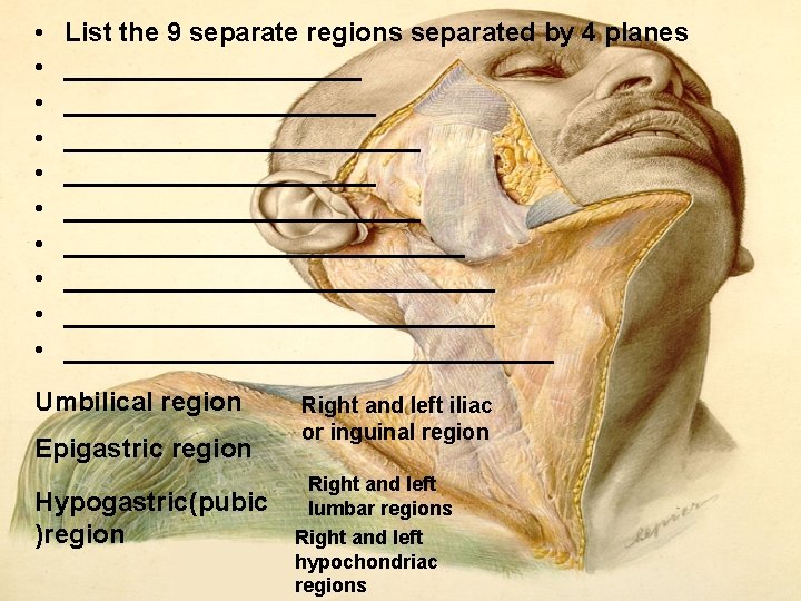 • • • List the 9 separate regions separated by 4 planes ________________________ • • • List the 9 separate regions separated by 4 planes ________________________