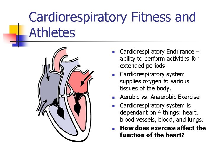 Cardiorespiratory Fitness and Athletes n n n Cardiorespiratory Endurance – ability to perform activities